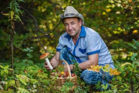 California Mushroom Picking: The Freest People in the World Image